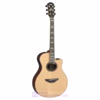 Yamaha APX1200ll Gitar String Akustik Elektrik