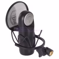 ASTON Element Bundle Studio Microphone