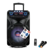 Asatron HT-8871 UKM Speaker Meeting Portable Wireless 12 Inch 2 Way 30 Watt