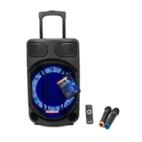 Asatron Mercury Speaker Meeting Portable Wireless 12 Inch 2 Way 15 Watt