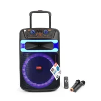 Asatron Moon Speaker Meeting Portable Wireless 12 Inch 2 Way 40 Watt