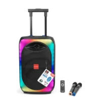 Asatron Planet Speaker Meeting Portable Wireless 12 Inch 2 Way 50 Watt