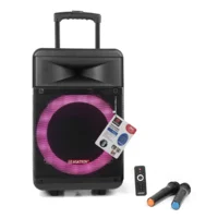 Asatron Puma Speaker Meeting Portable Wireless 12 Inch 2 Way 30 Watt