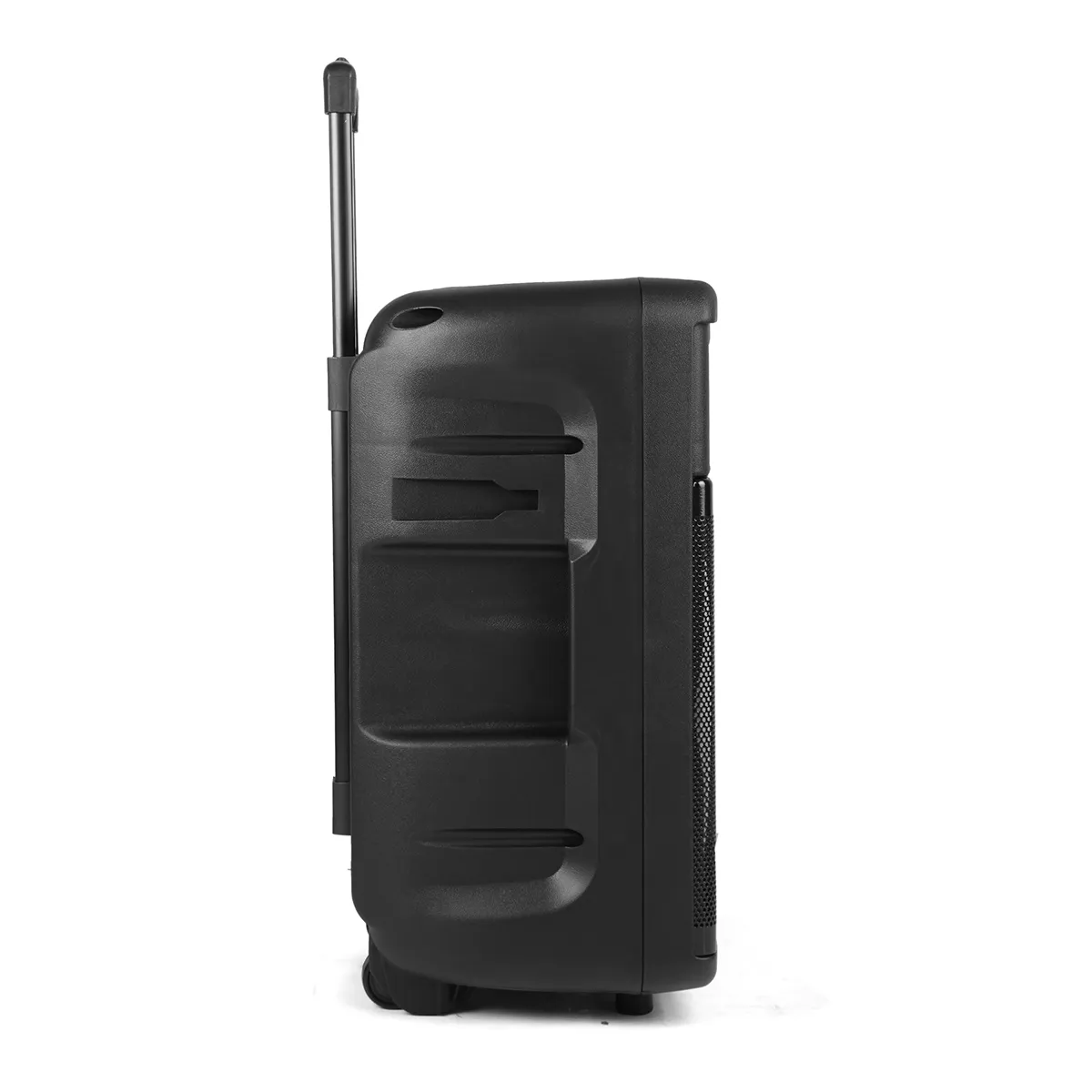 Asatron Puma Speaker Meeting Portable Wireless 12 Inch 2 Way 30 Watt - Image 3