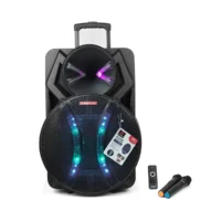 Asatron Tiger Speaker Meeting Portable Wireless 18 Inch 2 Way 80 Watt