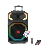 Asatron Titanic Speaker Meeting Portable Wireless 15 Inch 2 Way 50 Watt