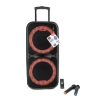 Asatron Typhoon Speaker Meeting Portable Wireless 2×12 Inch 2 Way 80 Watt