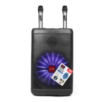 Asatron Uranus Speaker Meeting Portable Wireless 12 Inch 3 Way 20 Watt