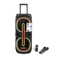 Asatron Victor Speaker Meeting Portable Wireless 2×10 Inch 2 Way 40 Watt