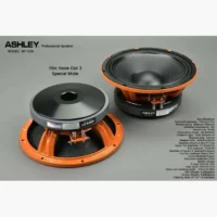 Ashley MF-1030 Speaker Middle Range 10 Inch 8 Ohm 700 Watt