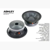 Ashley MR 10-8 Speaker Middle Range 10 Inch 8 Ohm 700 Watt