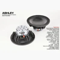Ashley Nova10Neo Speaker Middle Range 10 Inch 8 Ohm 700 Watt