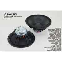 Ashley Nova12Neo Speaker Middle Range 12 Inch 8 Ohm 700 Watt