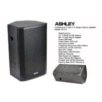 Ashley RE15P Speaker Pasif 15 Inch 2 Way 8 Ohm 1650 Watt