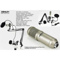 Ashley Studio Voice