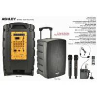 Ashley TSA-153 Speaker Meeting Portable Wireless 15 Inch 2 Way 600 Watt