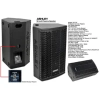 Ashley TW12P Speaker Pasif 12 Inch 2 Way 8 Ohm 900 Watt (Bi-Amp)