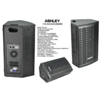 Ashley TW10A Speaker Aktif 10 Inch 2 Way 700 Watt