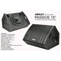 Ashley TW115PSM Speaker Monitor Panggung Pasif 15 Inch 2 Way 8 Ohm 3000 Watt
