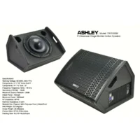 Ashley TW115SM Speaker Monitor Panggung Aktif 15 Inch 2 Way 3000 Watt