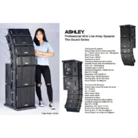 Ashley The Sound-12 Speaker Line Array Aktif 12 Inch 2 Way 1850 Watt