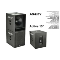 Ashley Zoom 115 ACT Subwoofer Aktif 15 Inch 3200 Watt
