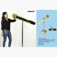 Ashley happy Voice