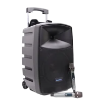 Baretone MAX15HB Speaker Meeting Portable Wireless 15 Inch 2 Way 600 Watt