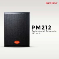 Baretone PM212 Subwoofer Aktif 12 Inch 800 Watt