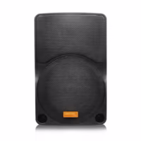 Celectron Audio PW-210 Speaker Meeting Portable Wireless 10 Inch 2 Way 200 Watt