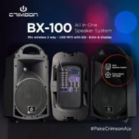 Crimson Sound BX 100 Speaker Portable PA System 10 Inch 2 Way 250 Watt