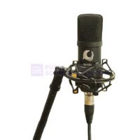 Dolphin Sound DS-100 Mic Recording Condenser Cardioid