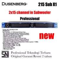 Dusenberg 215 Sub x1 Graphic Equalizer 15 Band 2 Channel