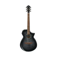 Ibanez AEWC400
