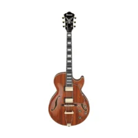 Ibanez AG95K