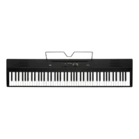 KORG liano