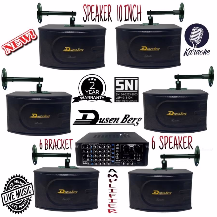 Paket Sound Dusenberg 10 Inch 6 Titik Audio Live Musik , Karaoke Room