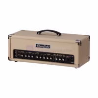 Roland Blues Cube Tour Ampli Head Gitar 100 Watt