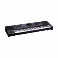 Roland EA7 Expandable 61 Key Arranger Keyboard
