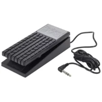 Roland EV-5