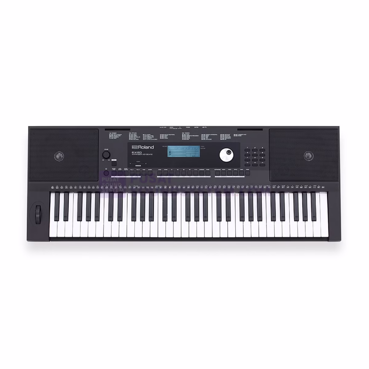 Roland EX20 61 Key Digital Keyboard Arranger