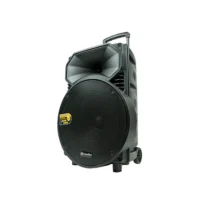 Soundbest FT 15 Speaker Meeting Portable Wireless 15 Inch 2 Way