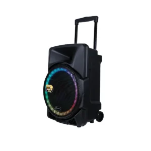 Soundbest FT 16 Speaker Portable Wireless 15 Inch