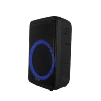 Soundbest FT 89 Speaker Meeting Portable Wireless 15 Inch 2 Way