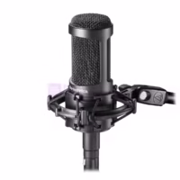 Audio Technica AT2050 Mic Recording Condenser Multi-pattern