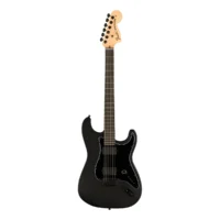 fender JIM ROOT STRATOCASTER