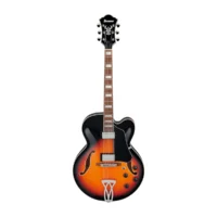 ibanez AF75