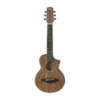 ibanez EWP14